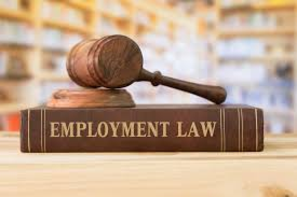 Responding to Complaints in Employment Litigation: A Strategic Approach by Legal Husk