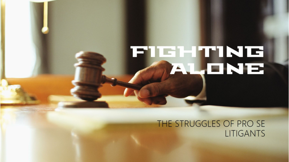 Empowering Pro Se Litigants: Navigating Divorce Proceedings with Custom Legal Drafts