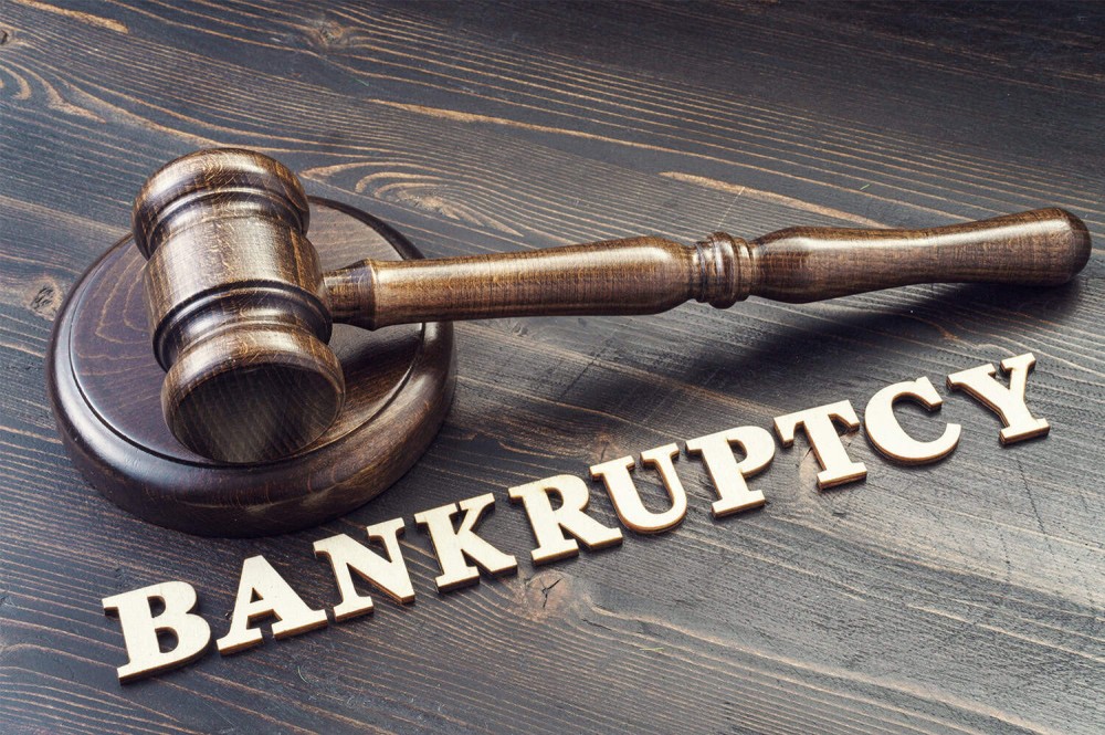 Empowering Pro Se Litigants in Bankruptcy Filings: Drafting Chapter 7 Petitions