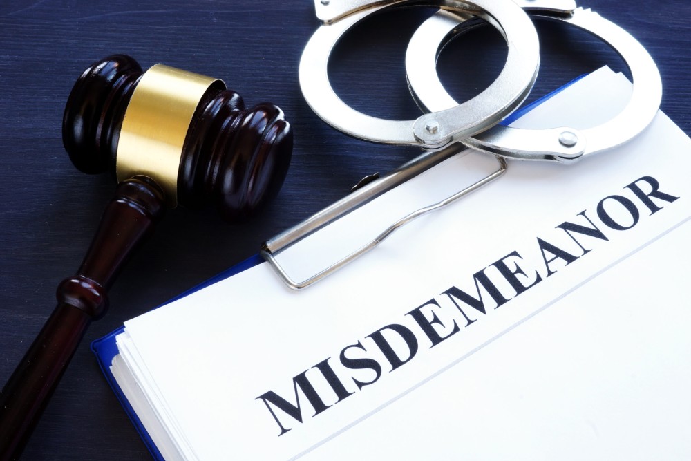 Defending Criminal Misdemeanors as Pro Se Litigants: Drafting Pleas and Motions