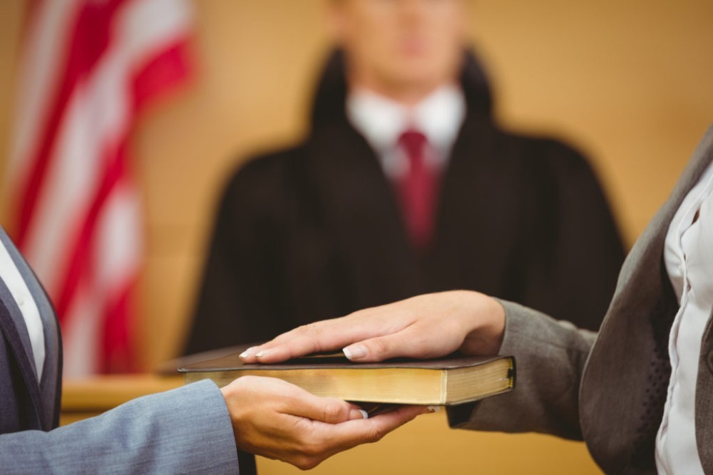 Why Motion to Dismiss Success Rates Vary Across Courts