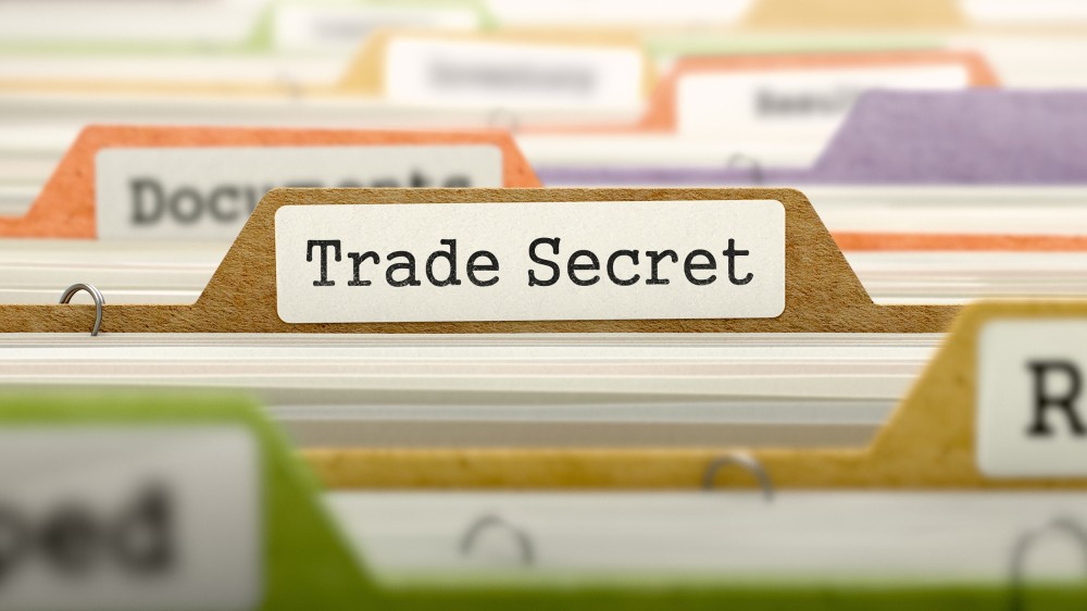 Pro Se Litigants in Trade Secret Misappropriation: Filing Injunctions