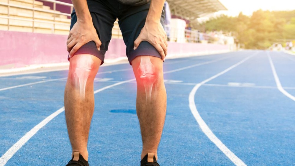 Empowering Pro Se Litigants in Sports Injury Liability: Drafting Negligence Claims