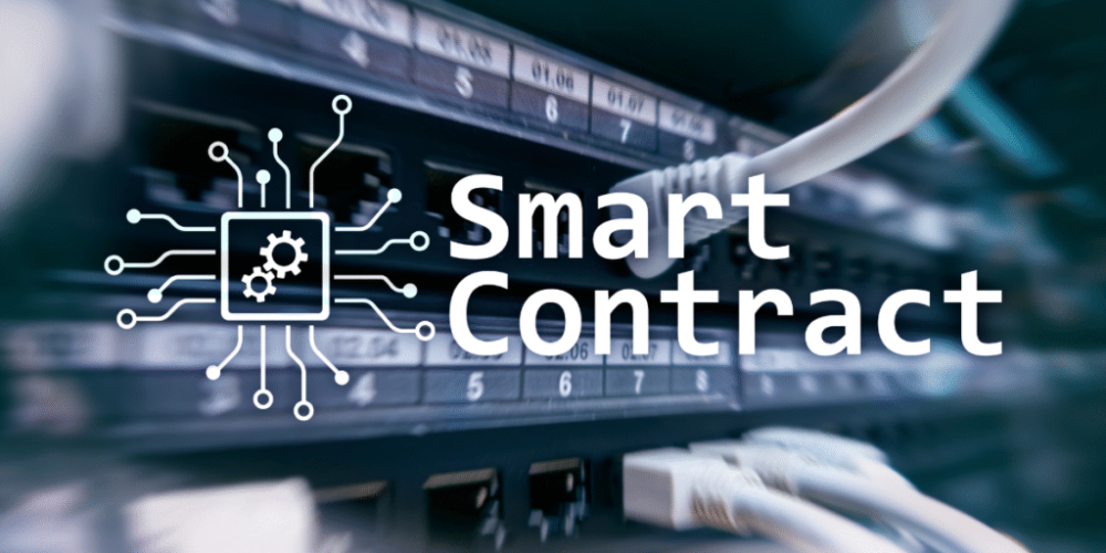 Empowering Pro Se Litigants in Blockchain Smart Contract Disputes: Drafting Execution Challenges