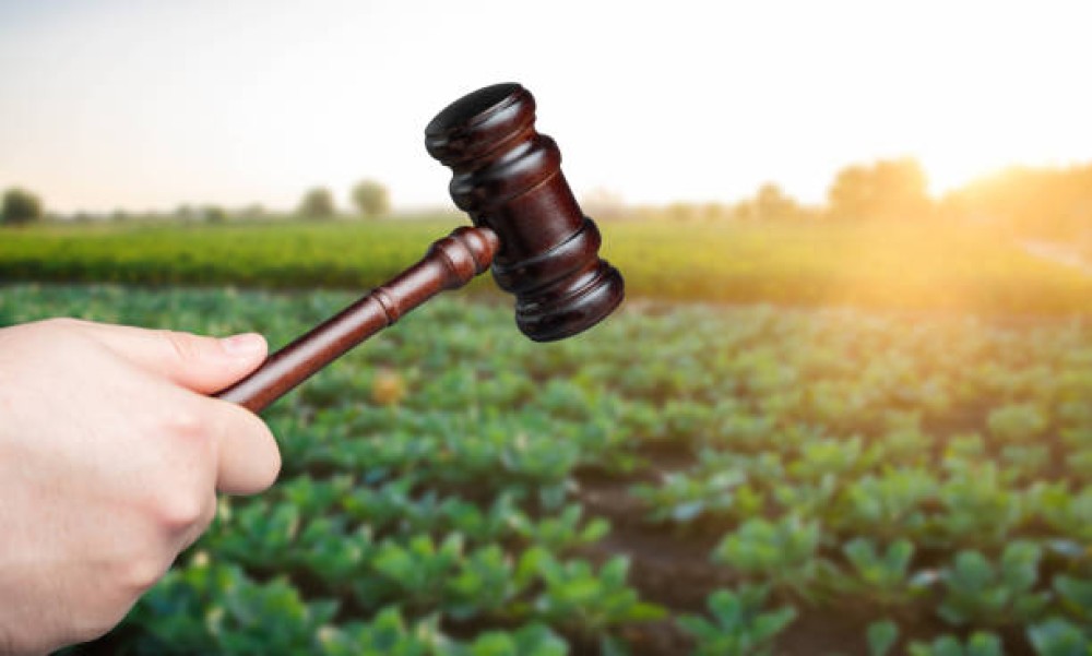 Pro Se Litigants Defending Vertical Farming Disputes: Appealing Zoning Denials