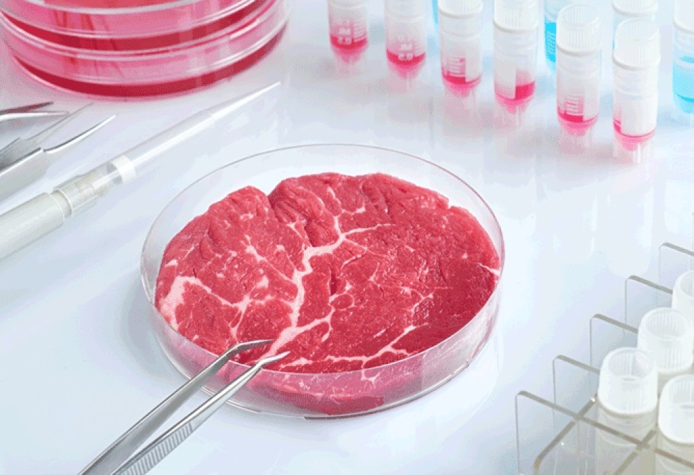 Navigating Lab-Grown Meat Labeling Disputes for Pro Se Litigants: Drafting FDA Challenges