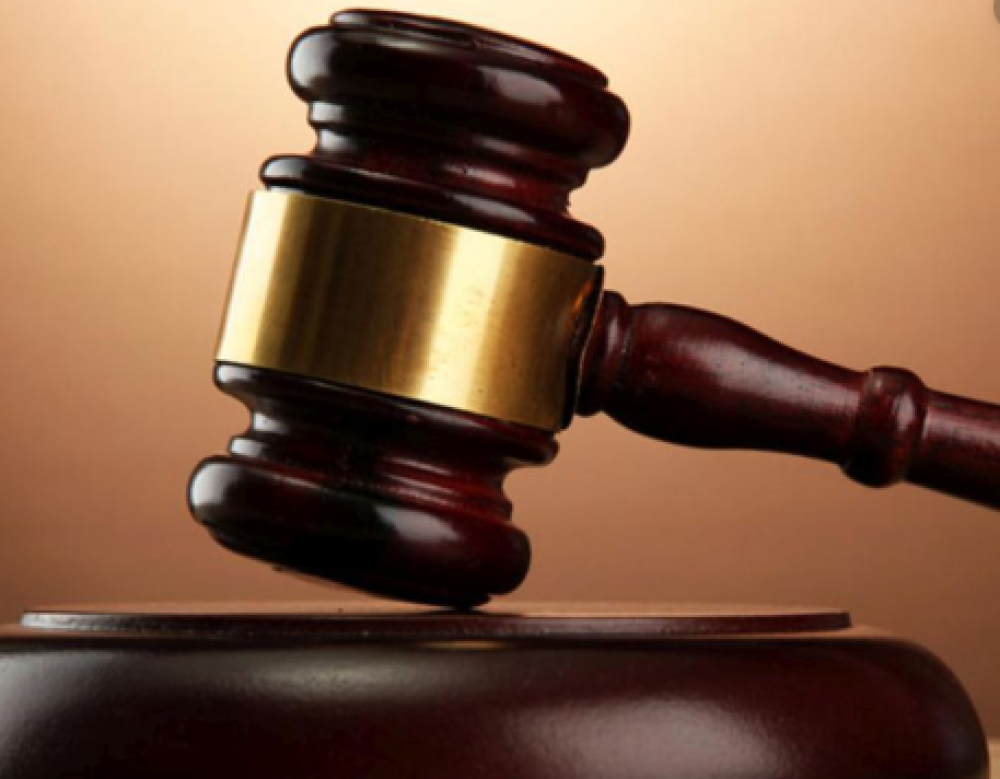 Pro Se Litigants Handling Vertical Farming IP Theft: Filing Hydroponic Patent Claims