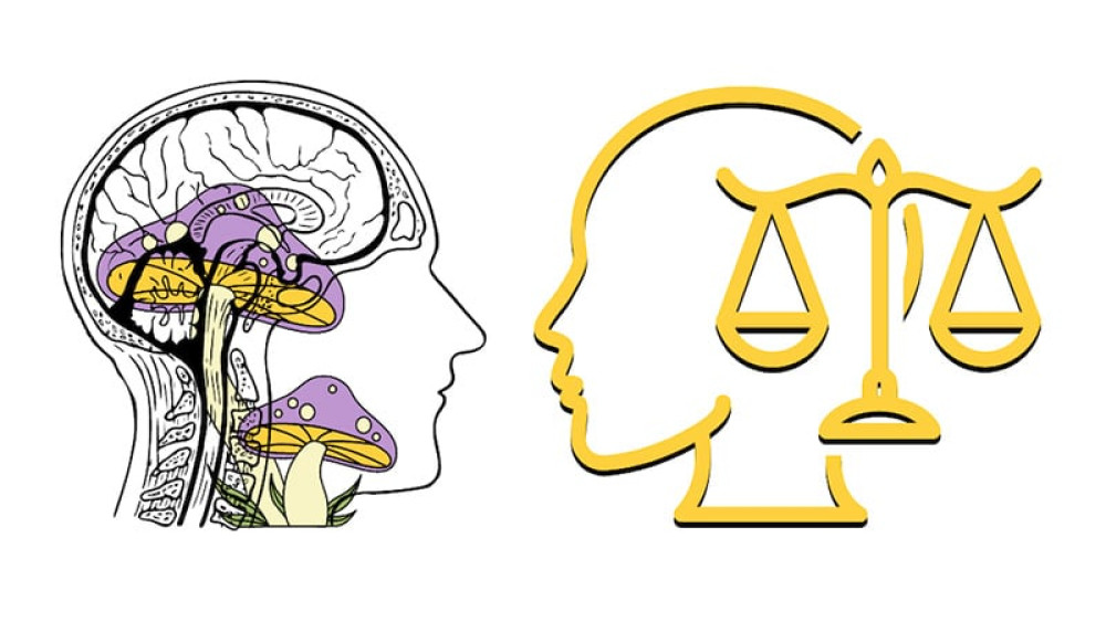 Empowering Pro Se Litigants in Psychedelic Therapy Disputes: Drafting Clinical Trial Suits