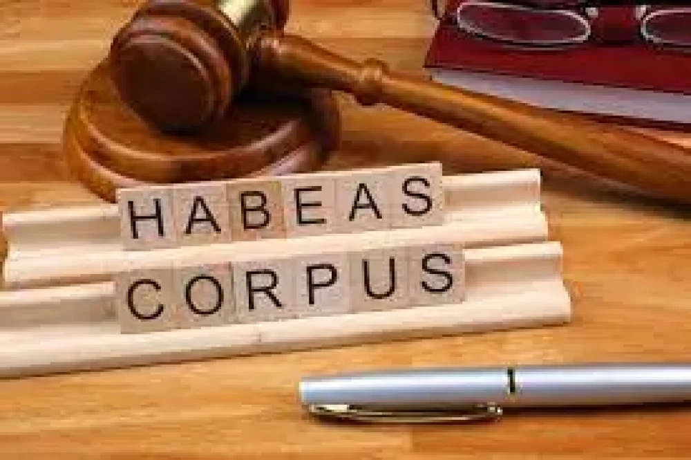 Motion for Habeas Corpus: Protecting Liberty Rights