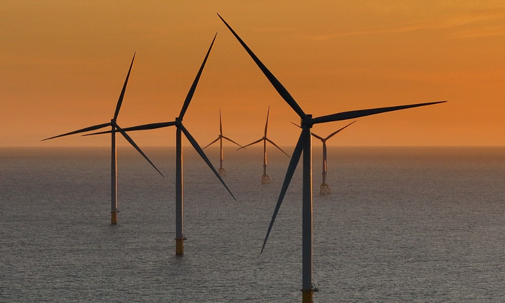 Pro Se Litigants in Offshore Wind Farm Disputes: Preparing Marine Lease Challenges