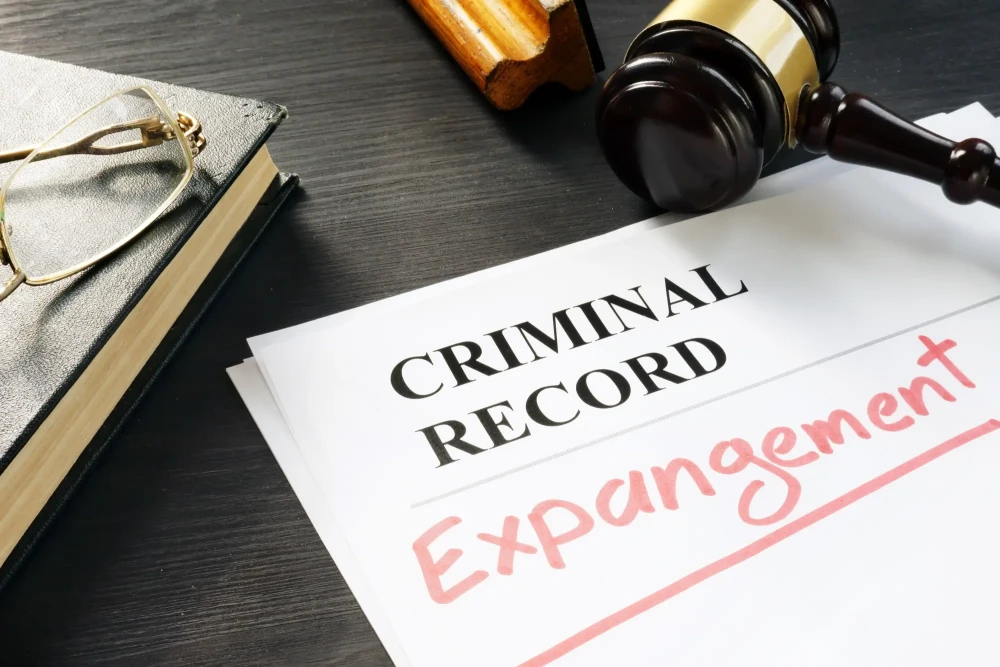 File a Motion for Expungement with Legal Husk