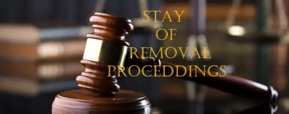 File a Motion to Terminate Removal Proceedings with Confidence
