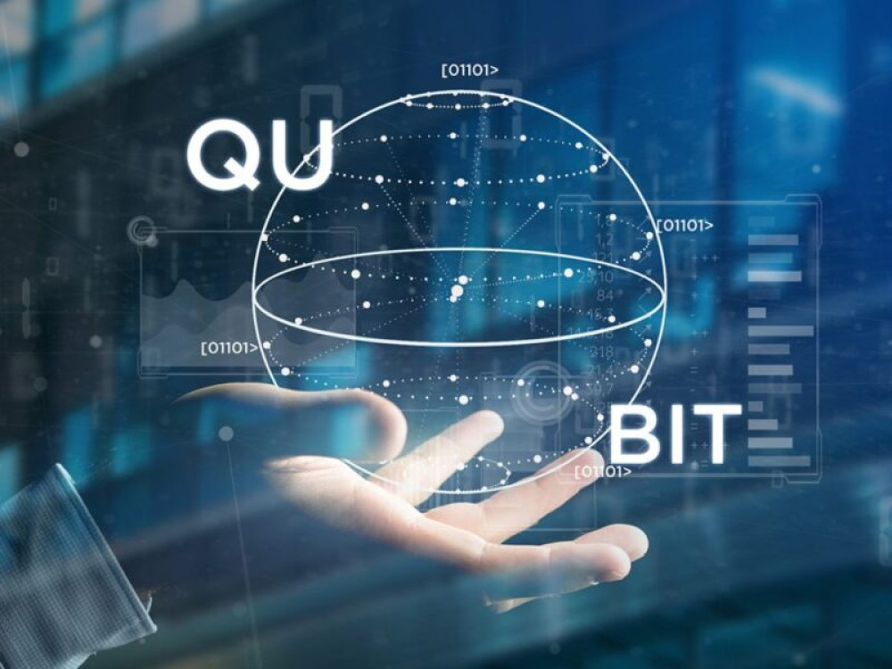 Pro Se Litigants in Majorana Fermion Patent Disputes: Preparing Quantum Computing Claims